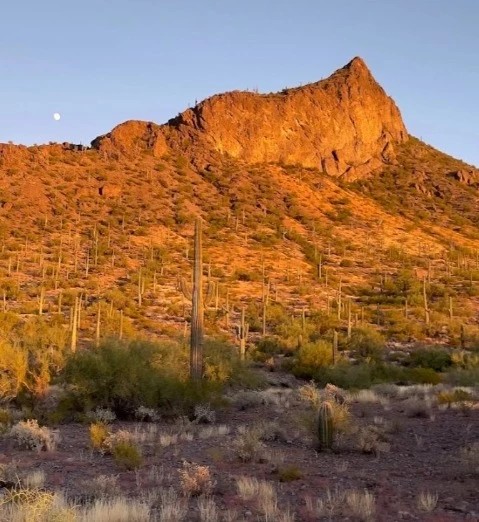 Picacho Peak State Park