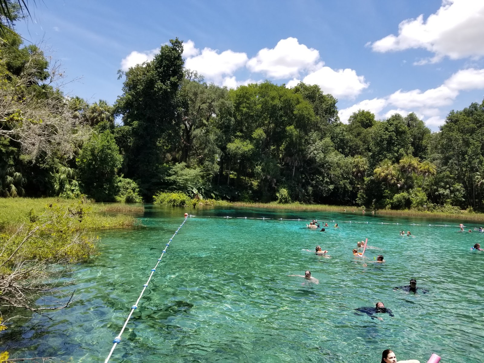 Rainbow Springs State Park - Go Wandering