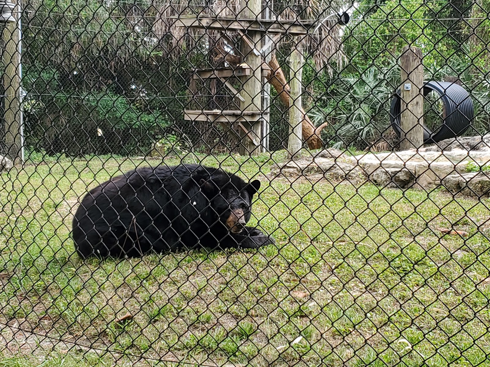 Busch Wildlife Sanctuary - Go Wandering