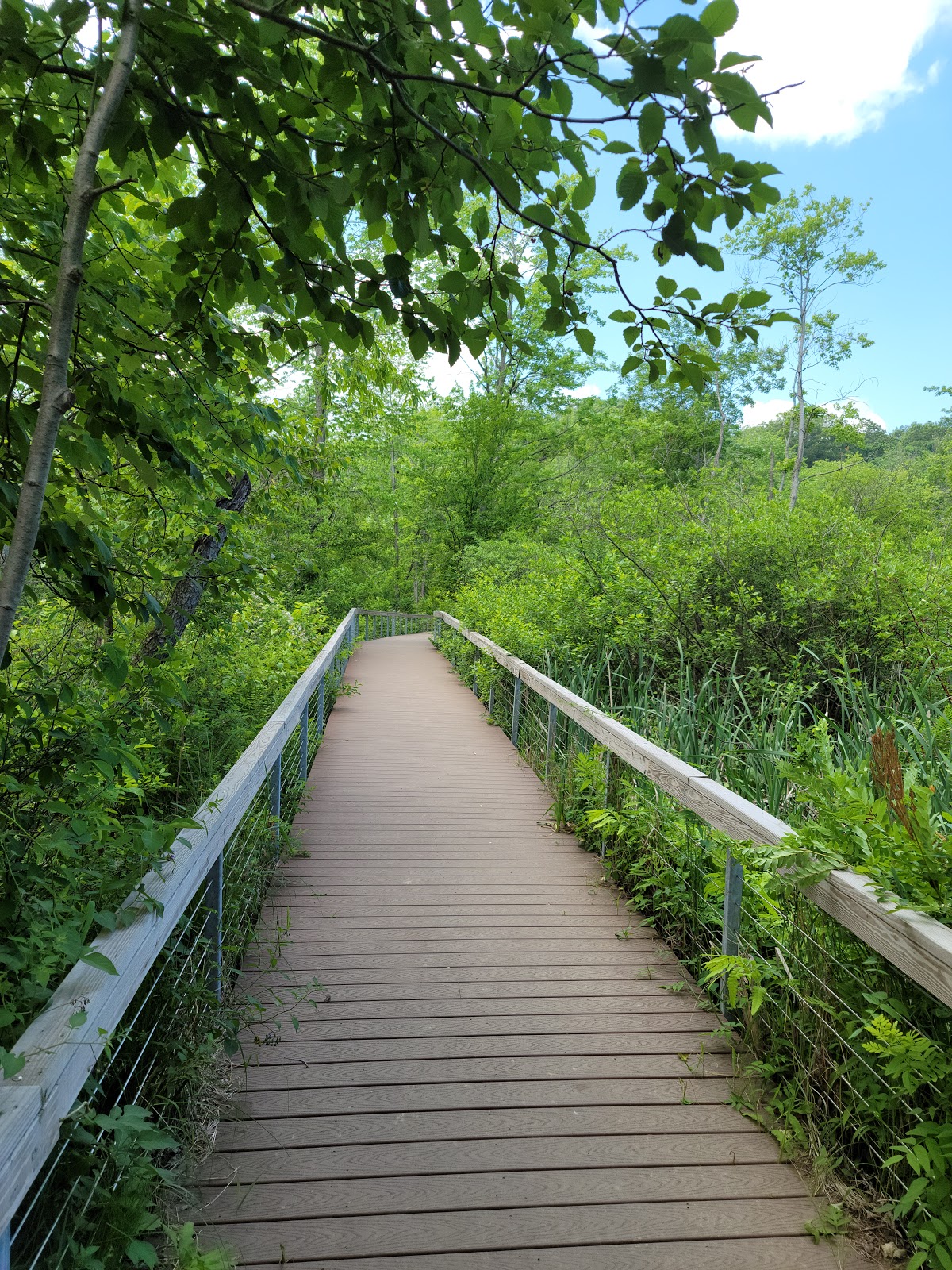 indiana-dunes-national-park-go-wandering