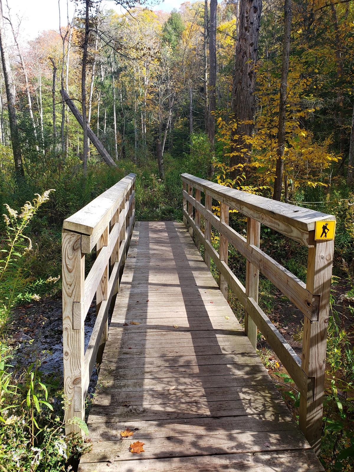 Baltimore Woods Nature Center - Go Wandering