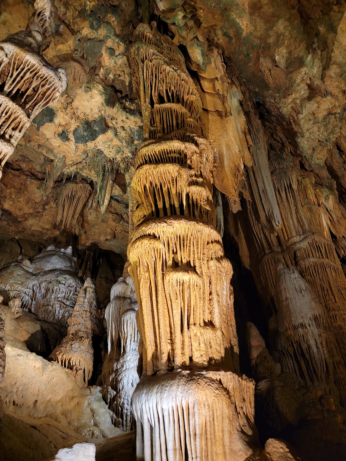 can i bring my dog to luray caverns