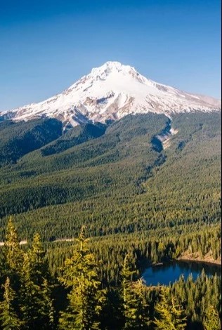 Mt. Hood National Forest - Go Wandering