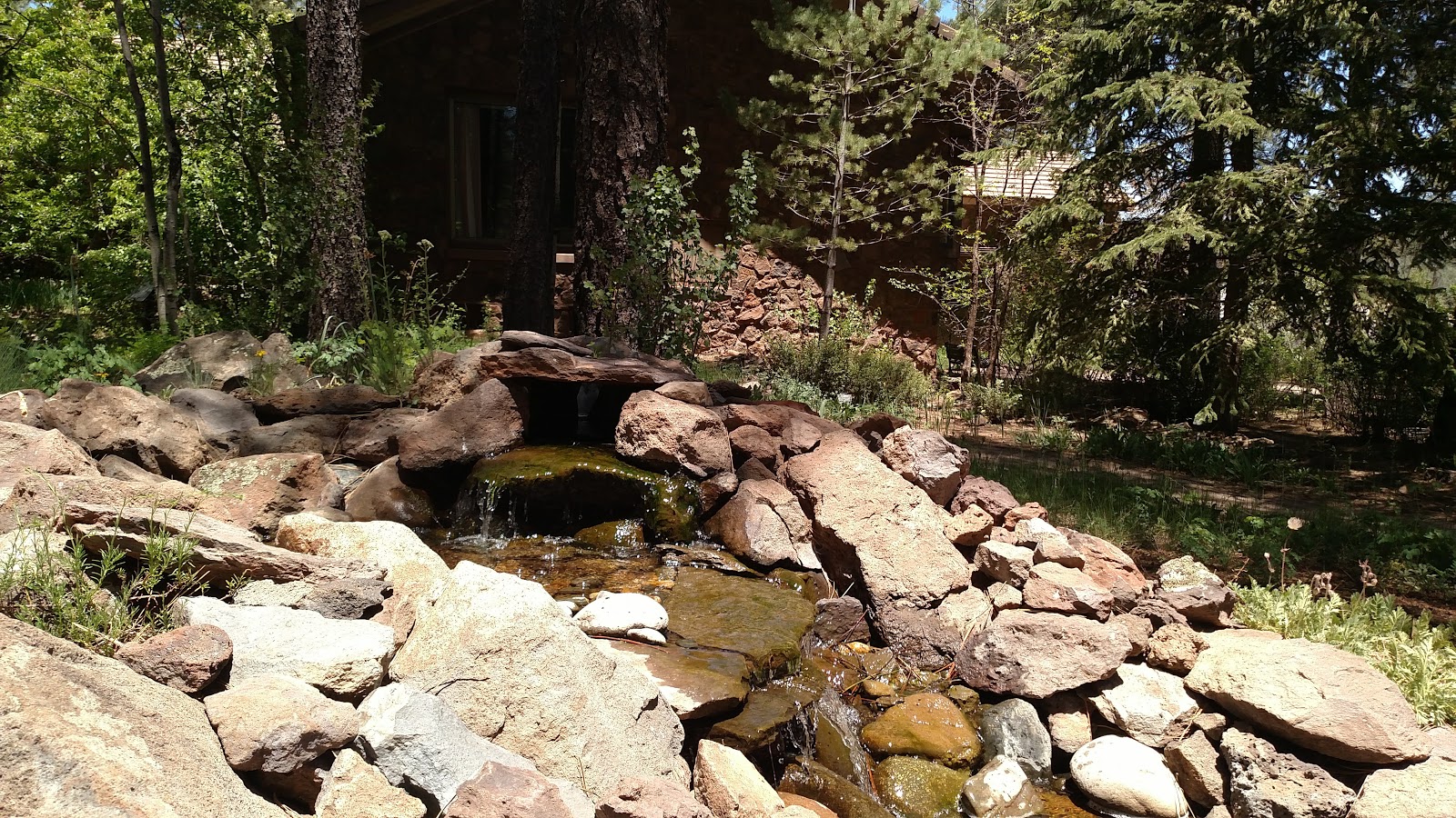 The Arboretum at Flagstaff - Go Wandering