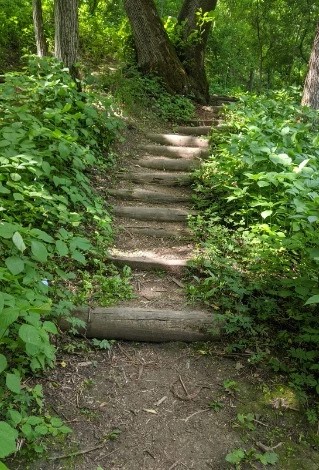 Escape to Serenity: South Dakota's Beaver Creek Nature Area