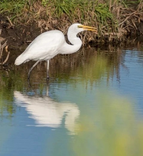 Prime Hook National Wildlife Refuge - Go Wandering