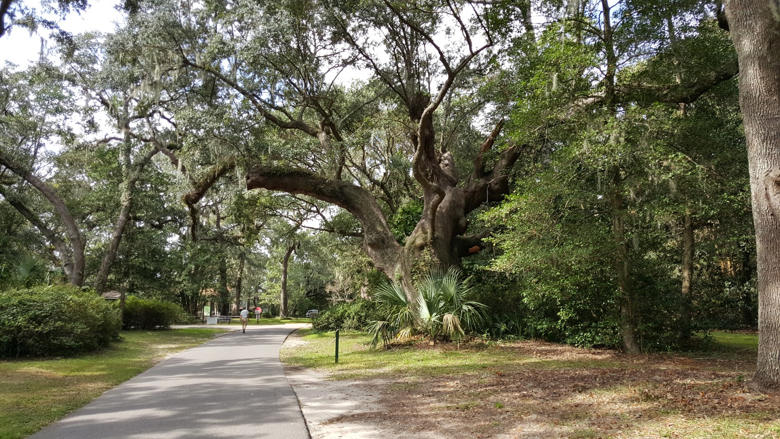 Charles Towne Landing State Historic Site - Go Wandering