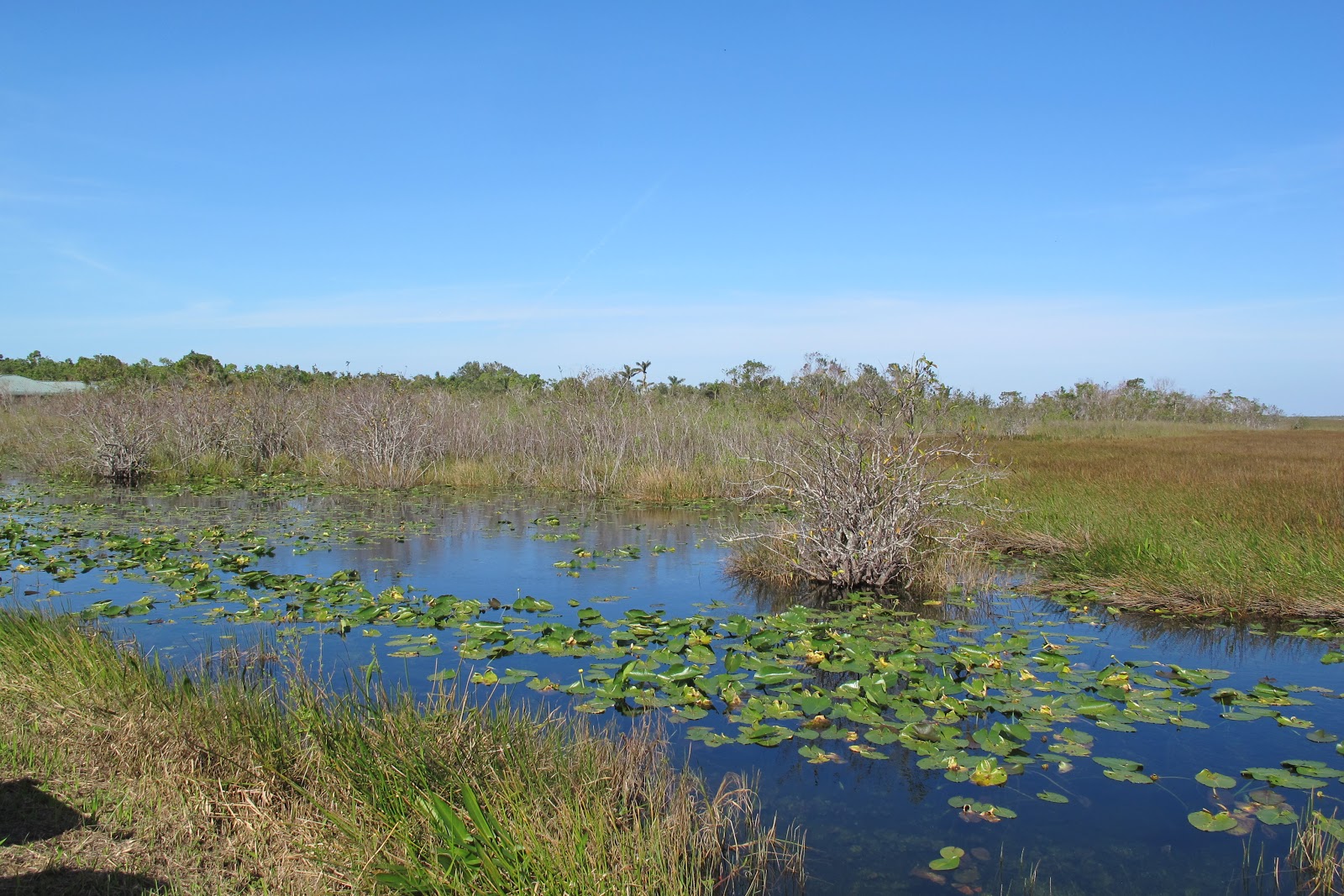 Everglades National Park - Go Wandering