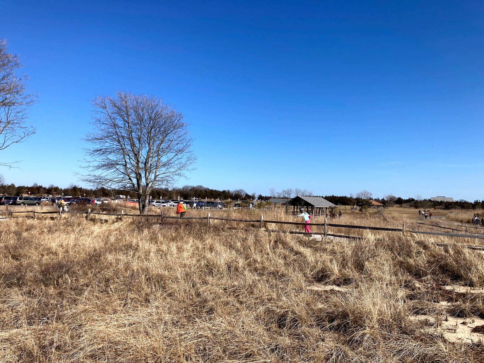 hammonasset beach bike trail