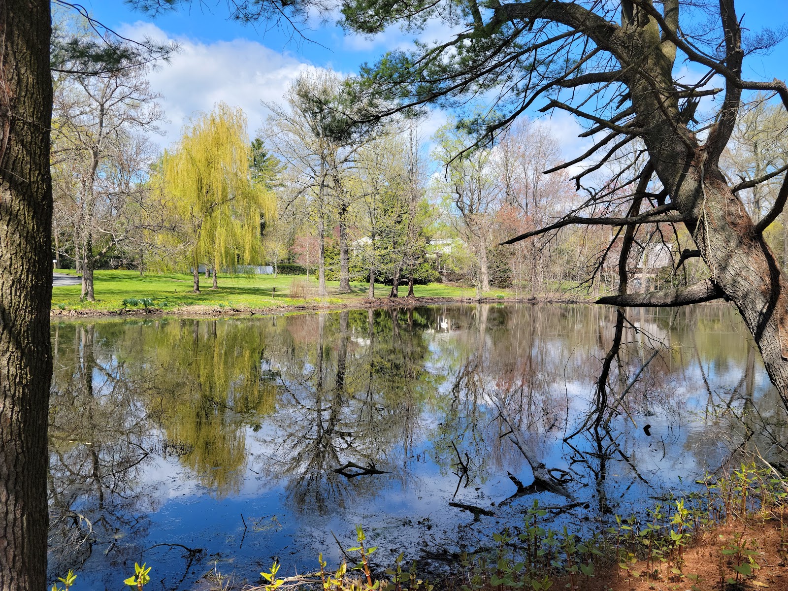 Bailey Arboretum - Go Wandering