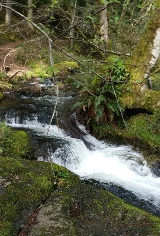 Moran State Park - Go Wandering