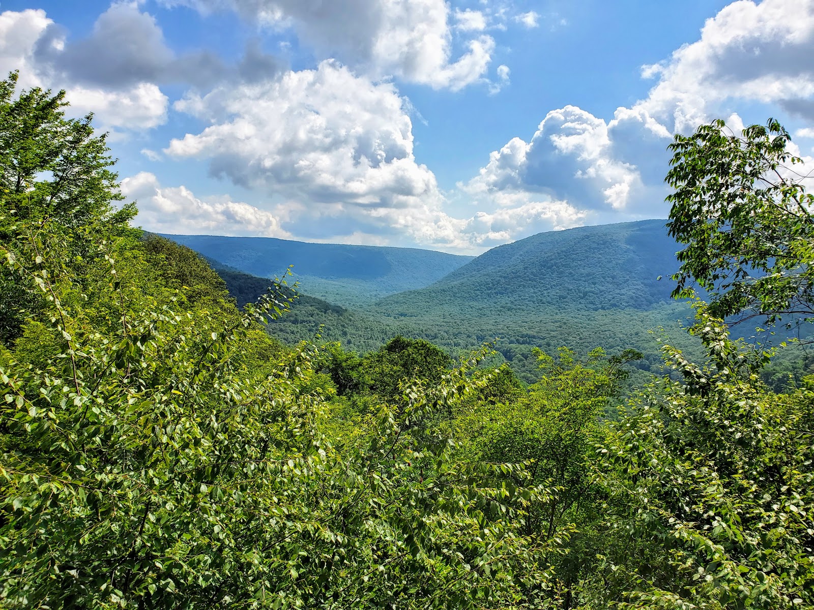 Ohiopyle State Park - Go Wandering