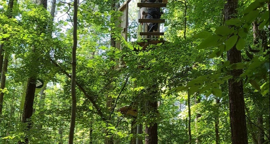 Go Ape Zipline and Adventure Park - Go Wandering