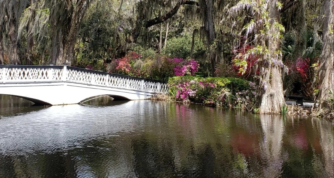 Magnolia Plantation and Gardens - Go Wandering