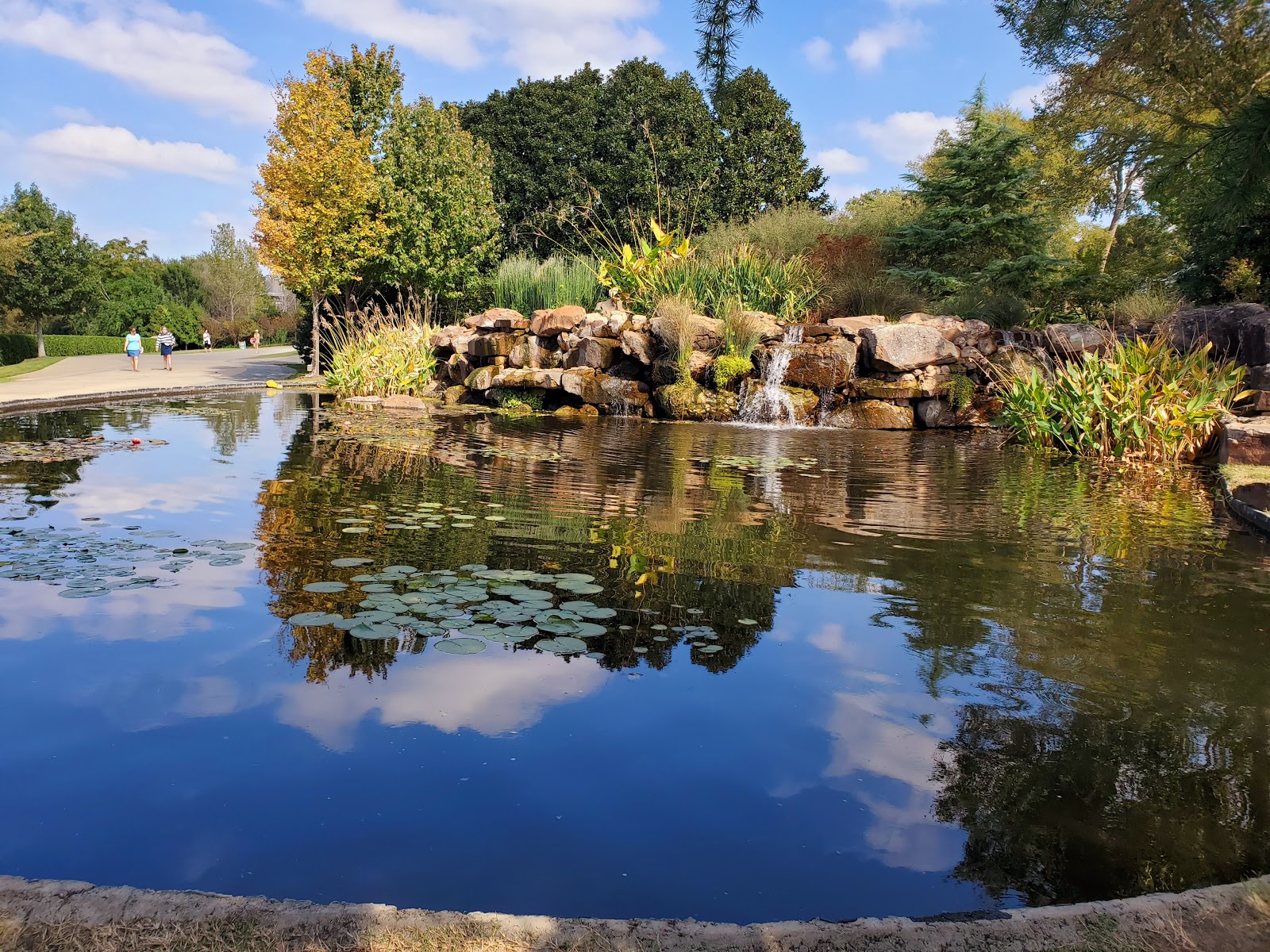 dallas-botanical-garden-go-wandering