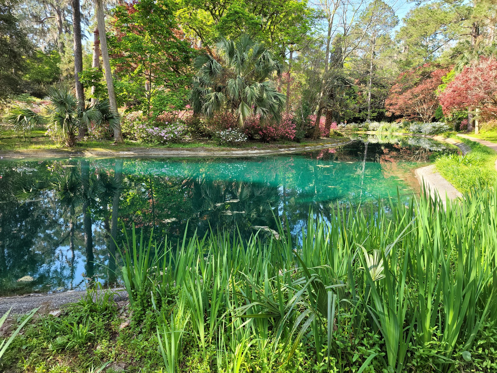 Alfred B. Maclay Gardens State Park - Go Wandering