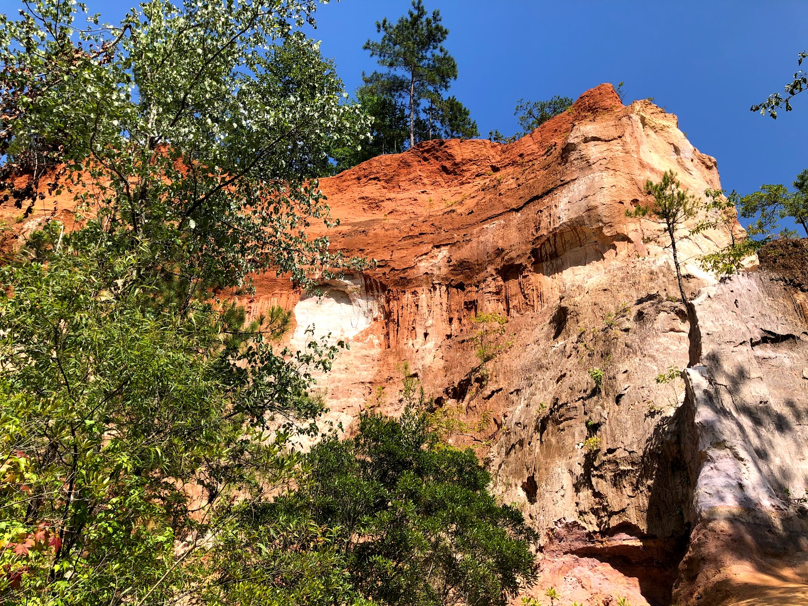 Providence Canyon State Park Go Wandering