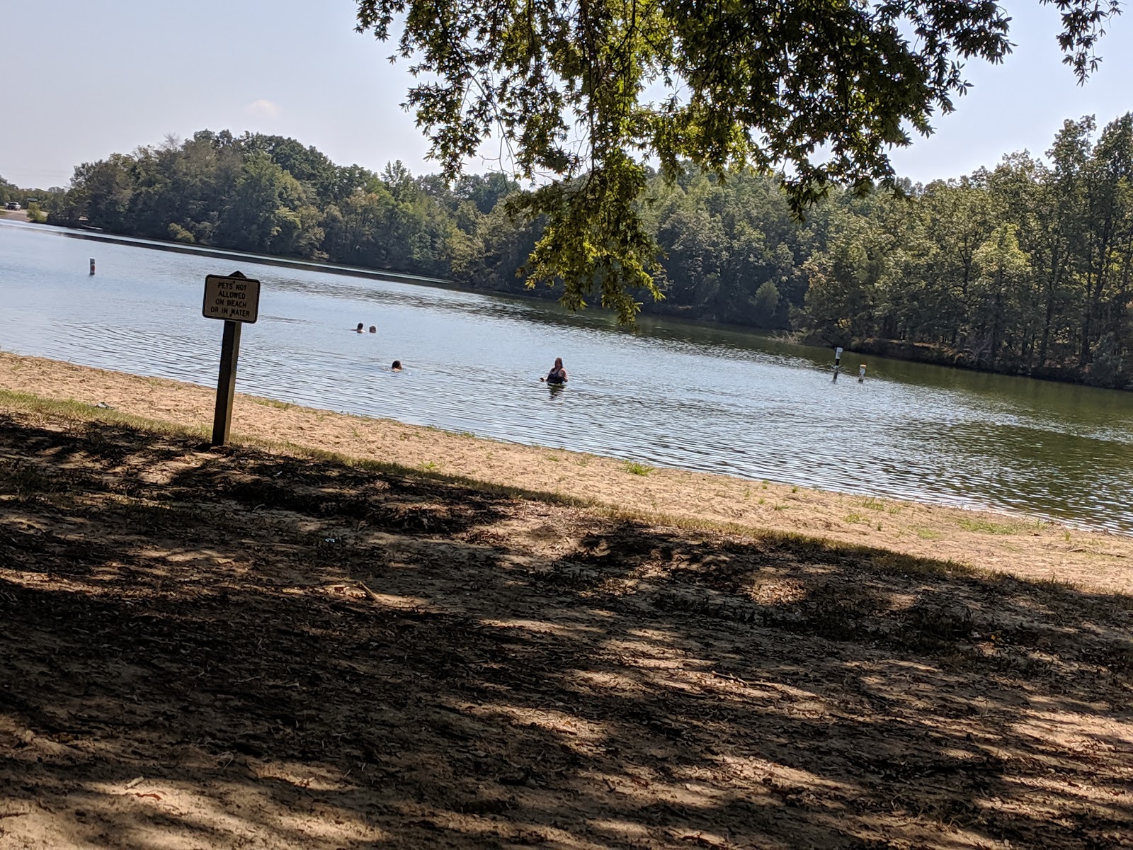 Escape to Serenity: Unveiling the Charms of Lake Charles State Park