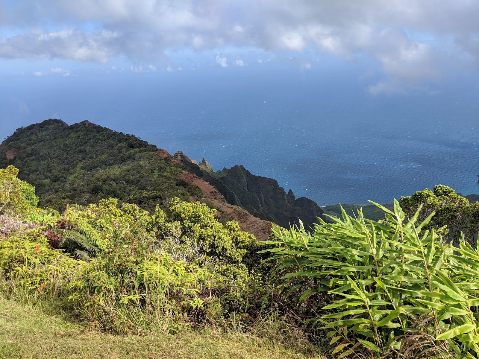 Escape to the Clouds: A Guide to Kōkeʻe State Park, Kauai