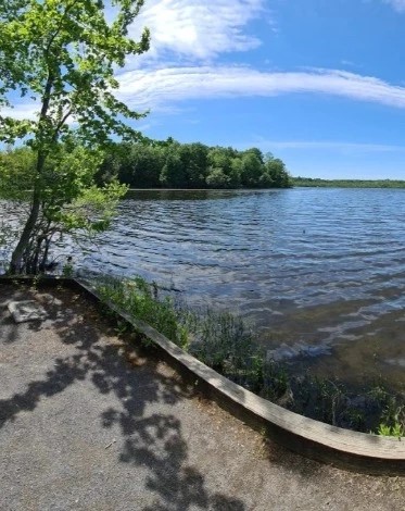 Beaver Lake Nature Center - Go Wandering