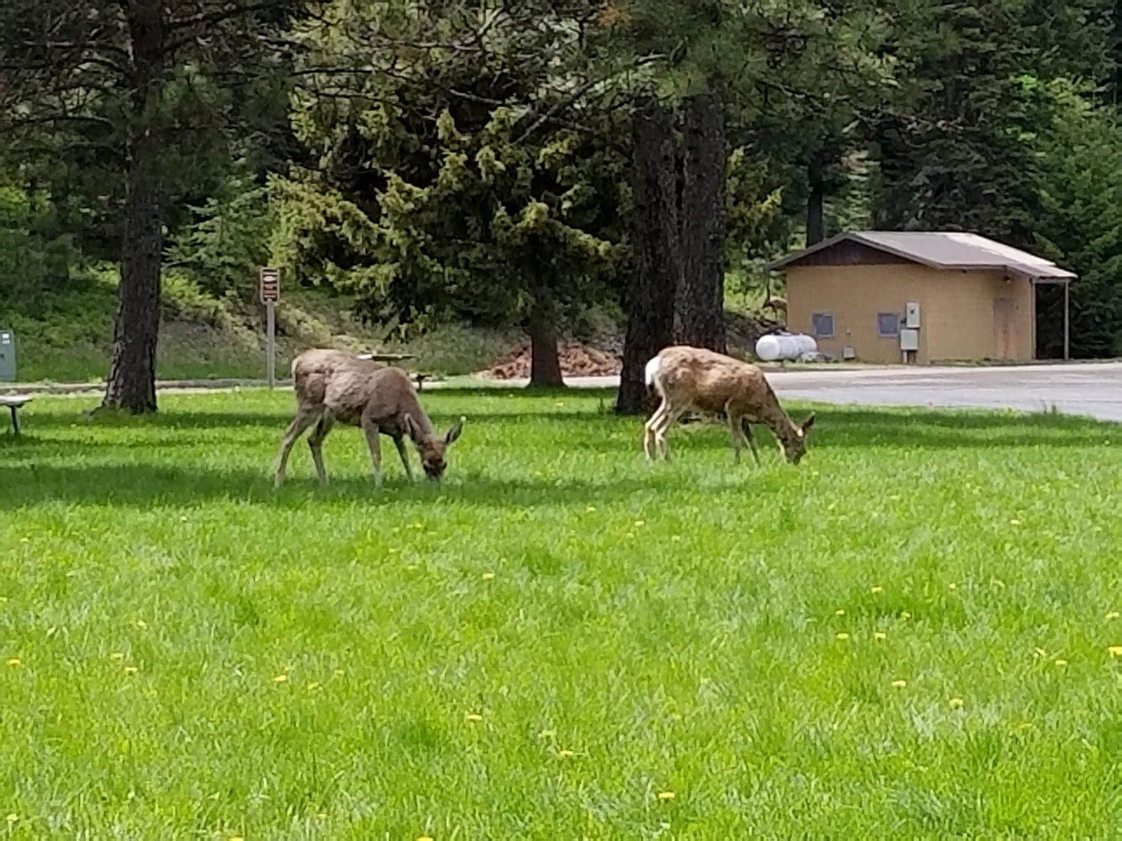 Wallowa Lake State Park - Go Wandering