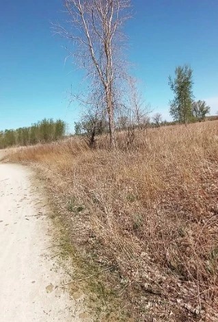 Step Back in Time: Exploring South Dakota's Adams Homestead and Nature Preserve