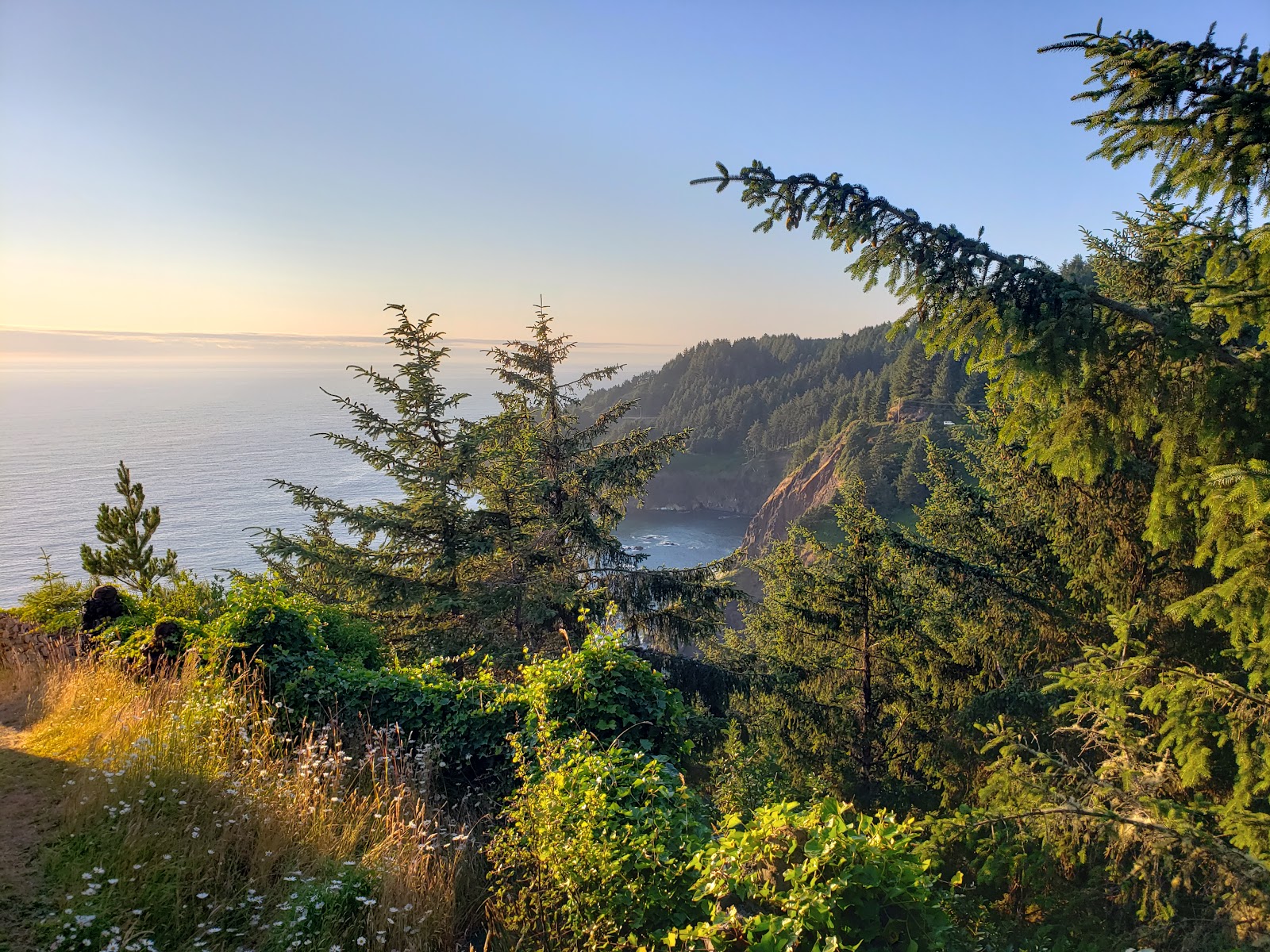 Otter Crest State Scenic Viewpoint - Go Wandering