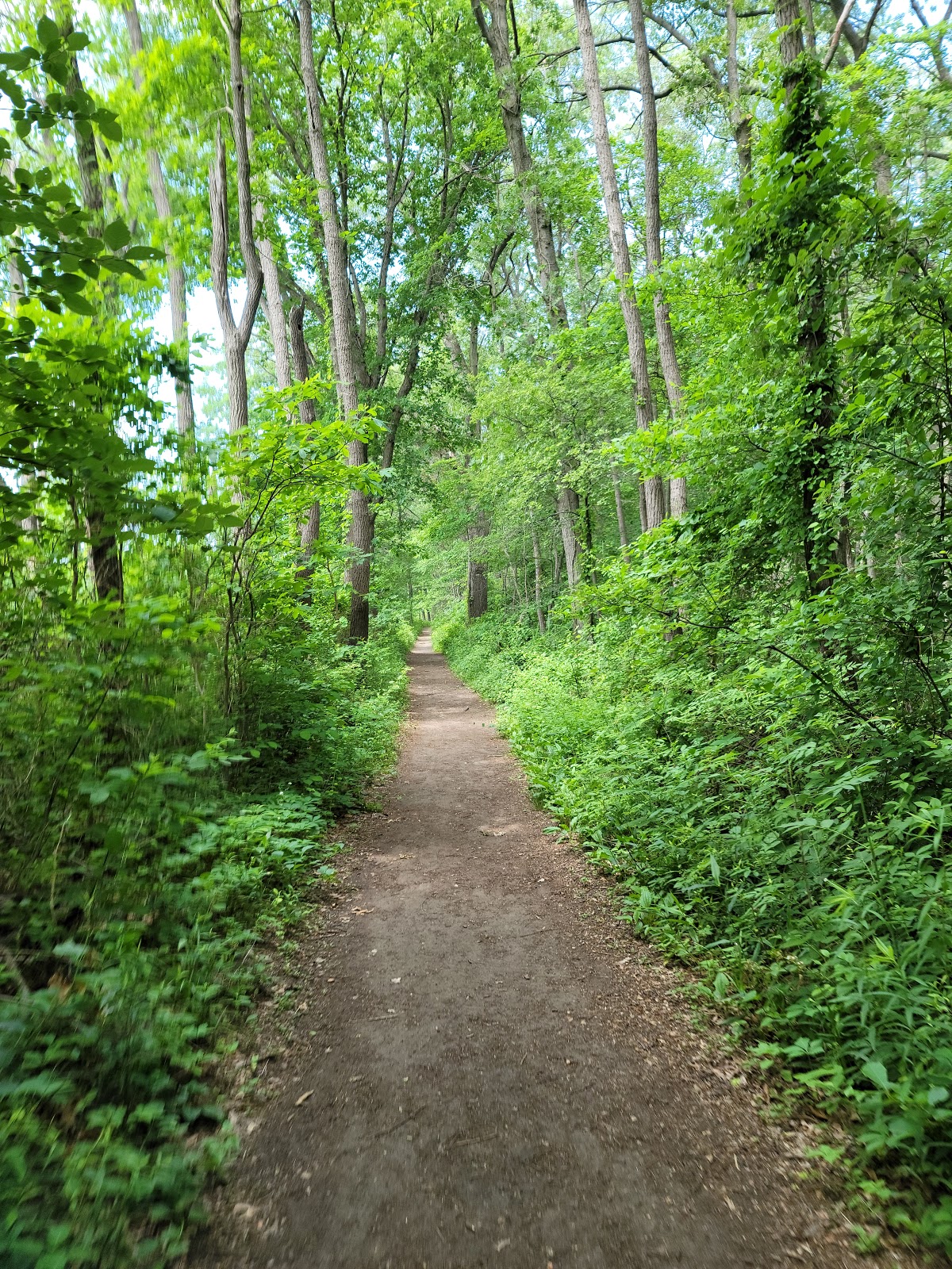 indiana-dunes-national-park-go-wandering