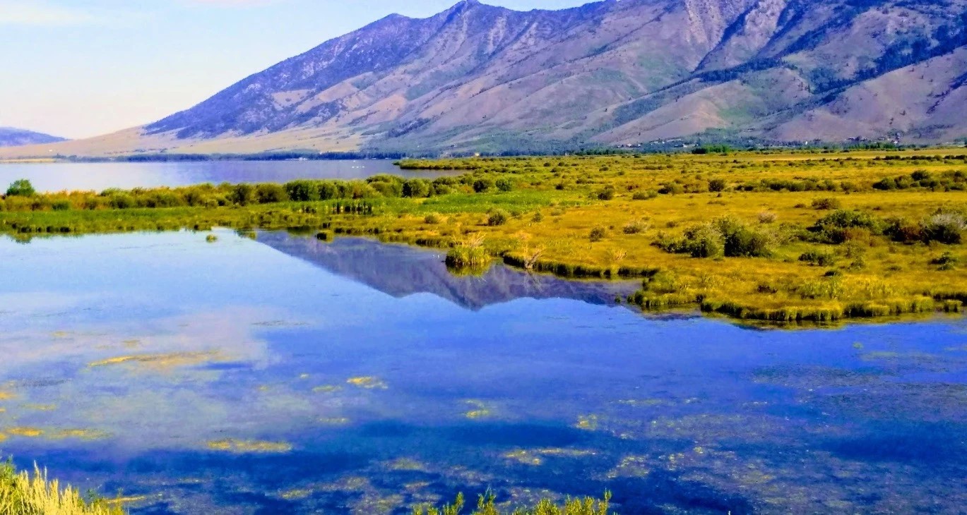 Escape to Idaho's Gem: Henry's Lake State Park