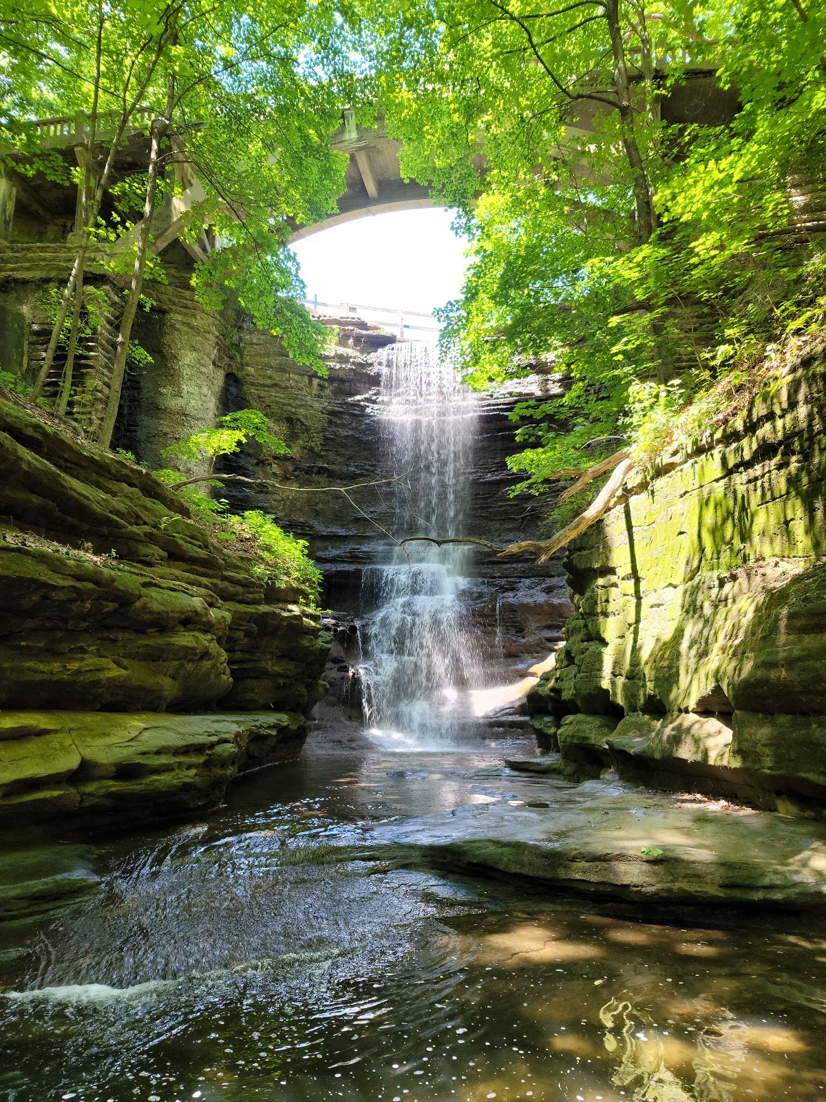 are dogs allowed at matthiessen state park