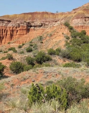 the battle of palo duro canyon is significant because