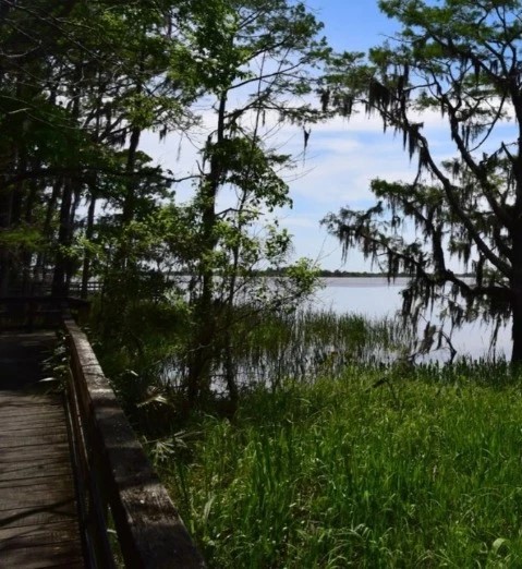 Historic Blakeley State Park