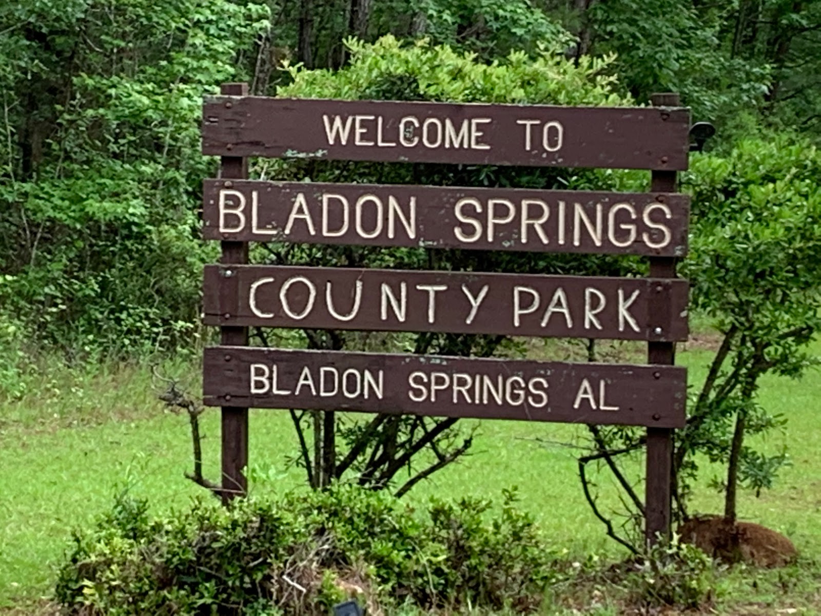 Escape to Serenity: Bladon Springs State Park, Alabama's Hidden Gem