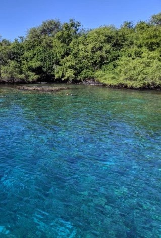 Where History Meets Paradise: Exploring Kealakekua Bay State Historical Park