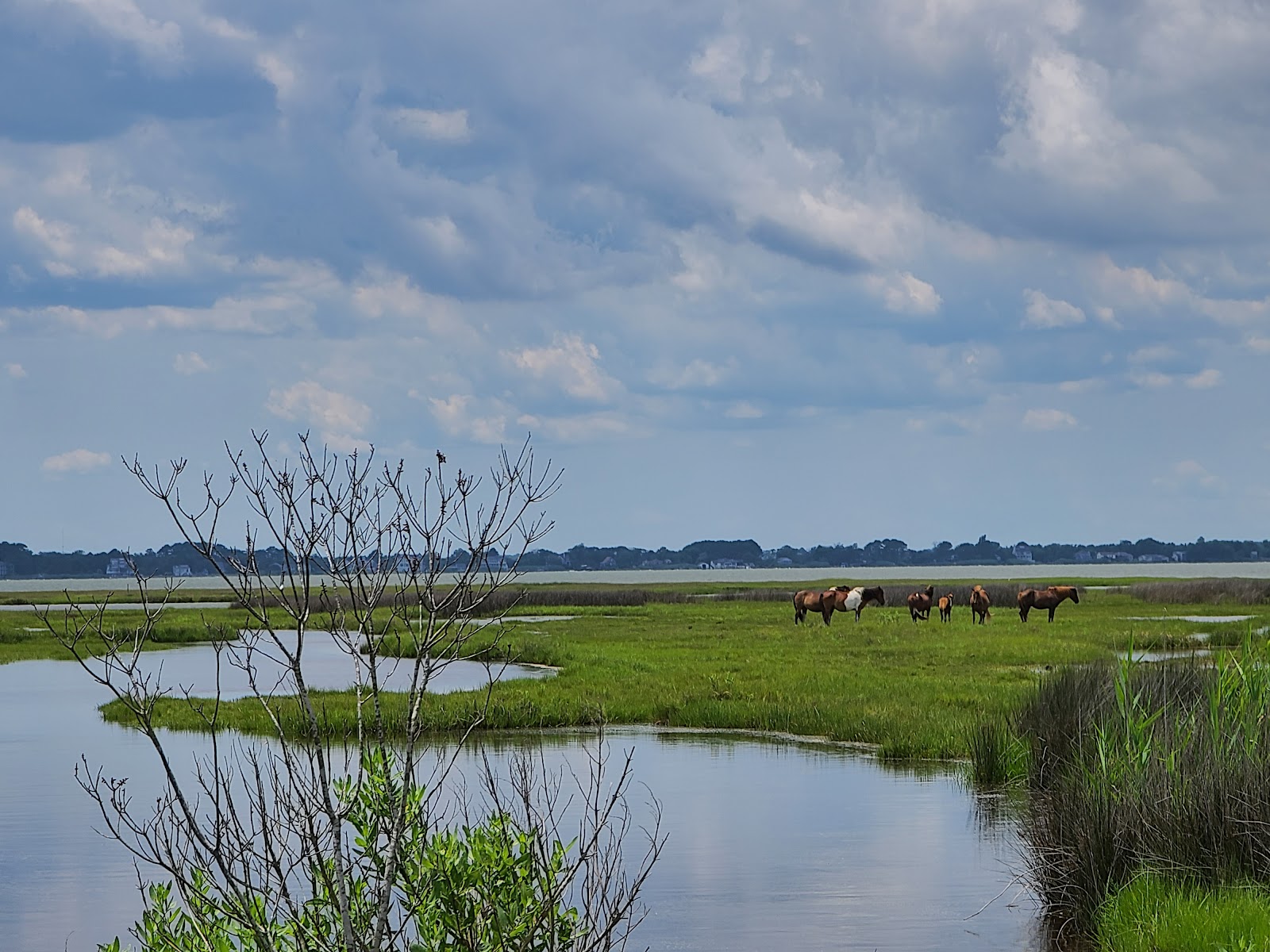 Assateague State Park Go Wandering