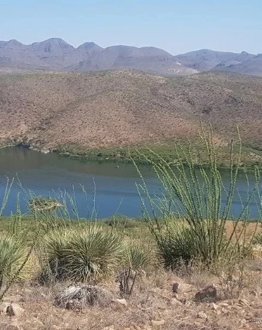 Escape to Sonoita Creek: Arizona's Hidden Gem for Nature Lovers