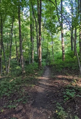 Mt. Gilead State Park - Go Wandering