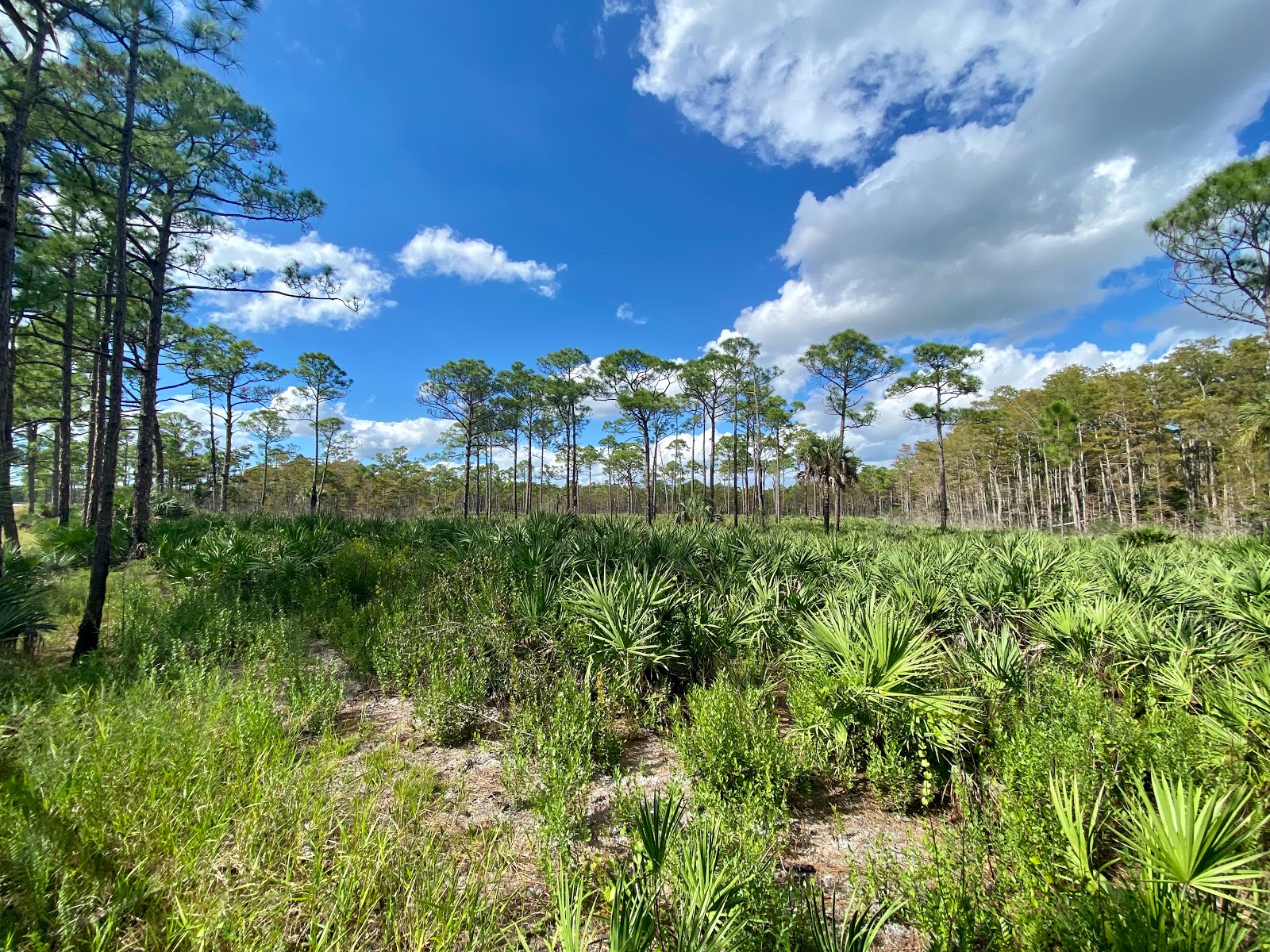 Jonathan Dickinson State Park - Go Wandering