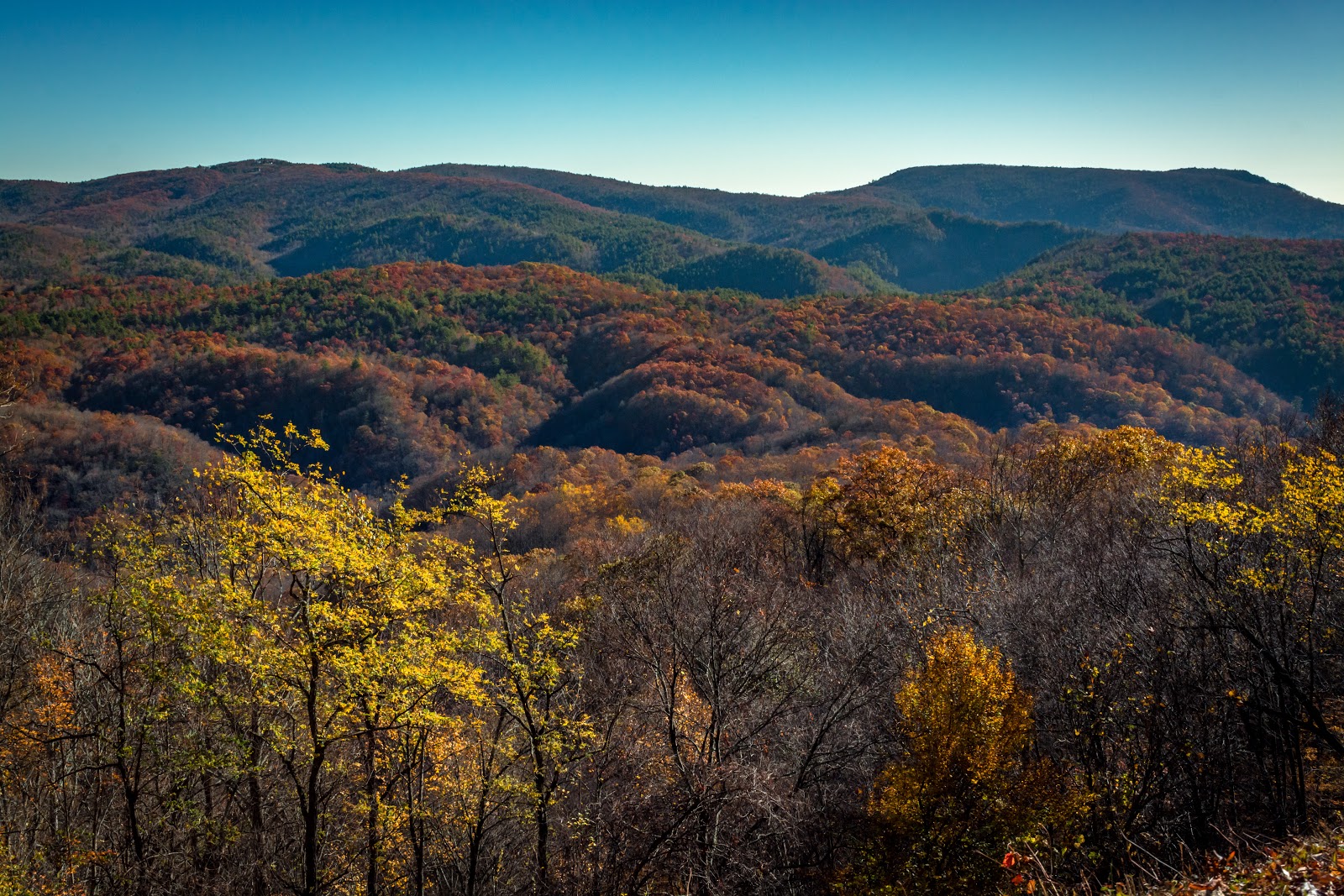 Pisgah National Forest - Go Wandering