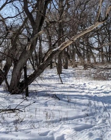 Big Stone Island State Nature Area - Go Wandering