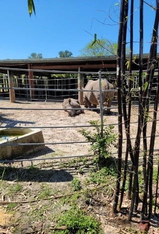 ZooTampa At Lowry Park - Go Wandering