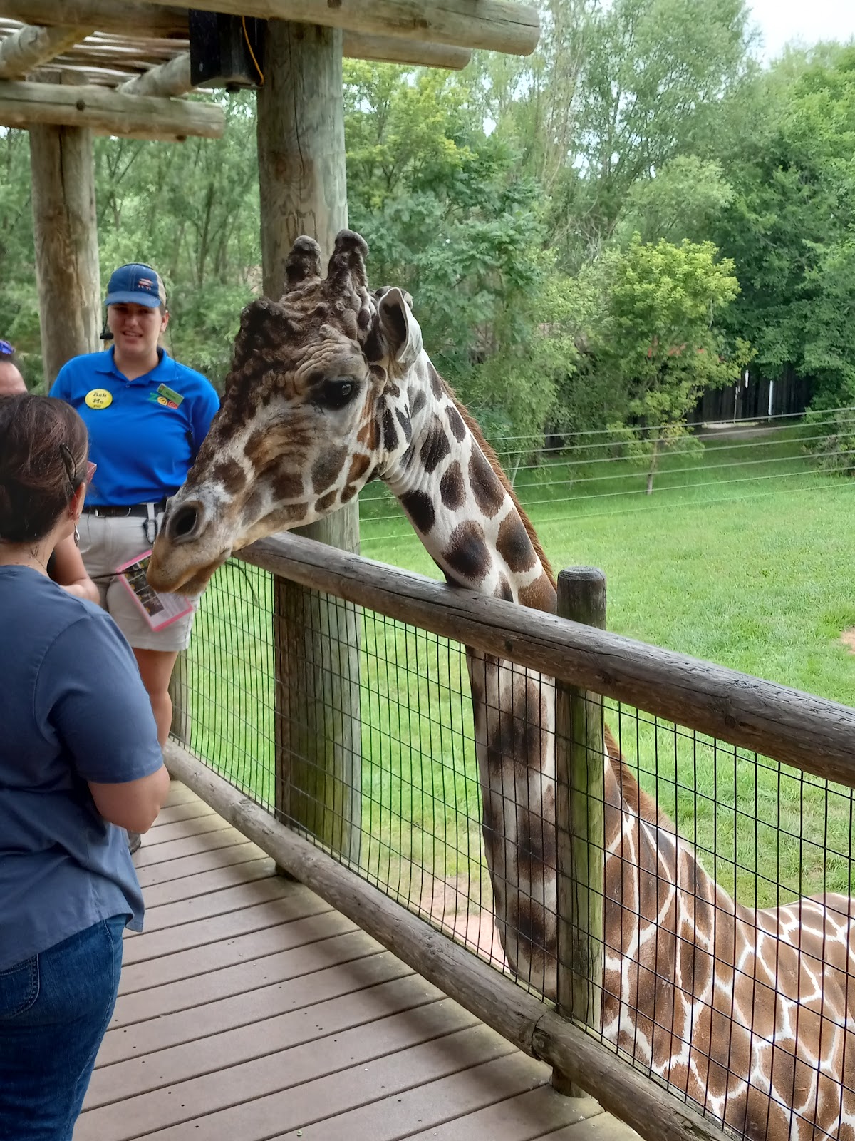 Fort Wayne Children's Zoo Go Wandering