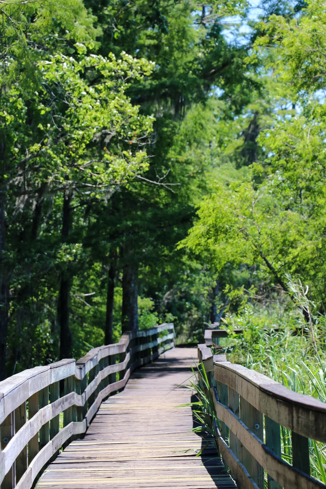 Historic Blakeley State Park - Go Wandering