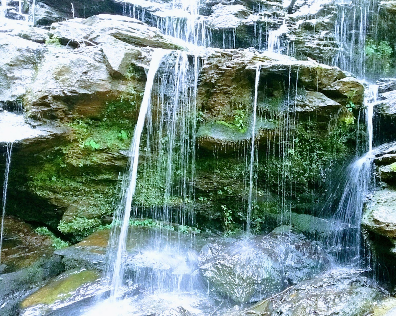 Sumter National Forest Enoree Ranger District - Go Wandering