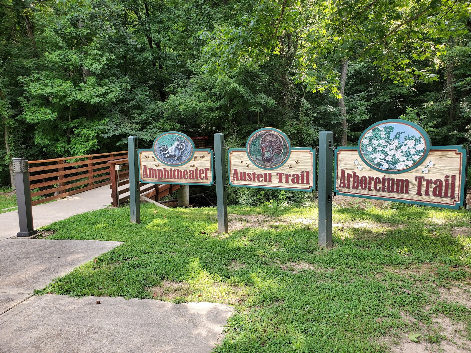 Arkansas' Hidden Gem: Village Creek State Park - A Nature Lover's Paradise