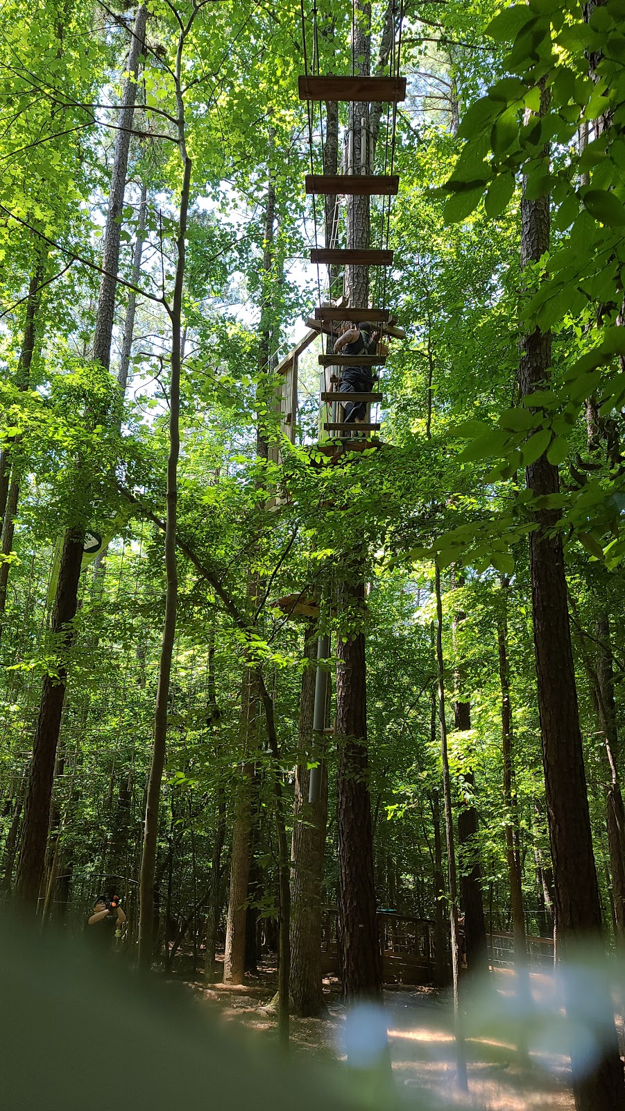 Go Ape Zipline and Adventure Park - Go Wandering