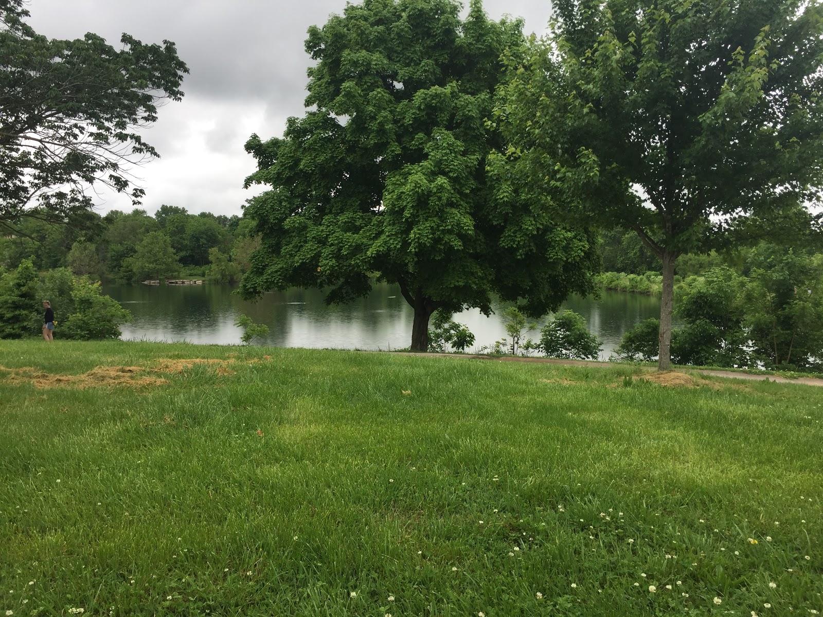 Stephens Lake Park Go Wandering