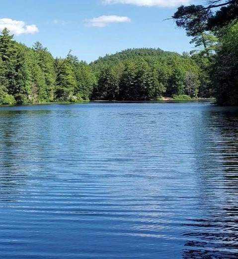 Bigelow Hollow State Park