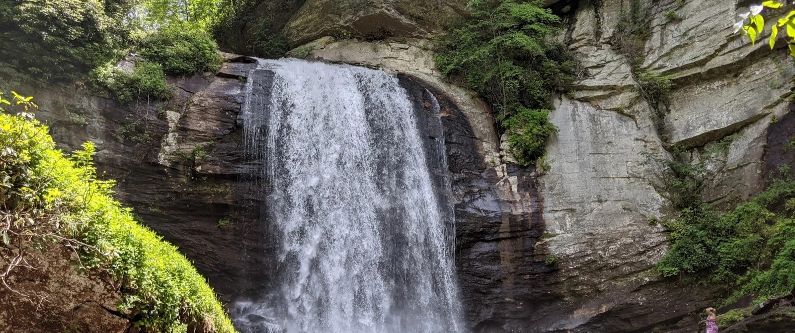 Pisgah National Forest Go Wandering