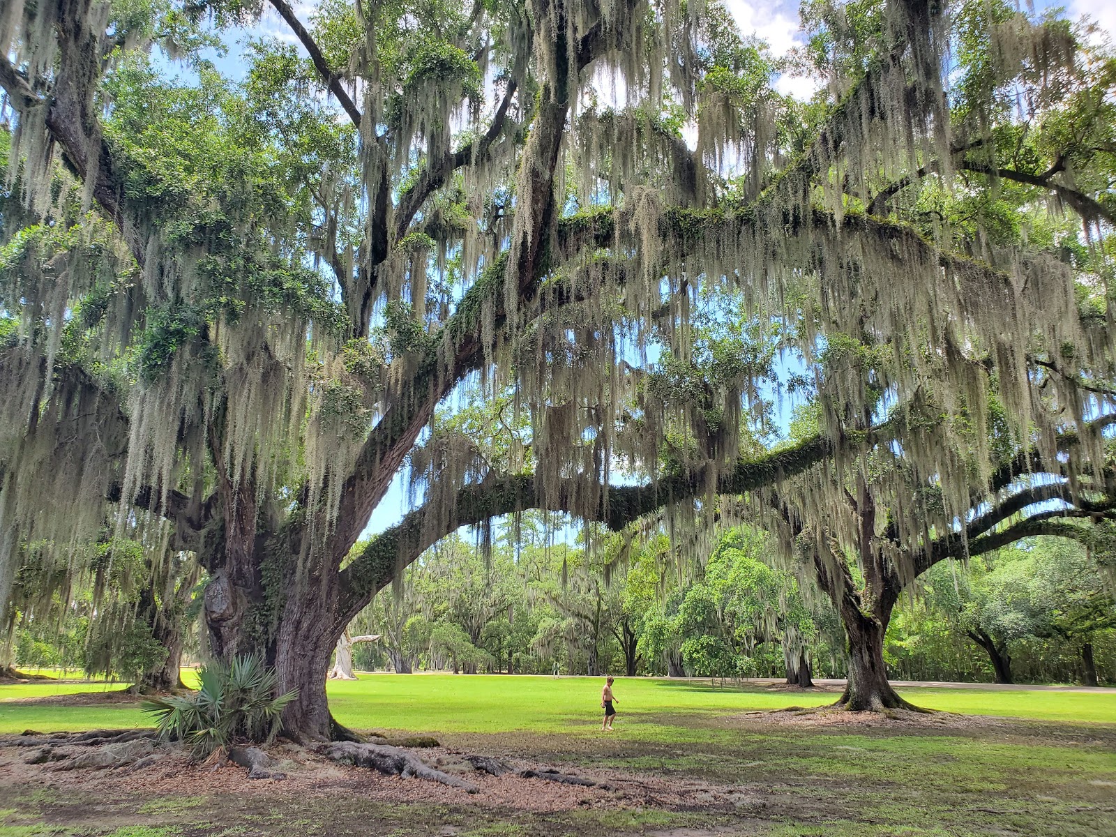 Fontainebleau State Park - Go Wandering